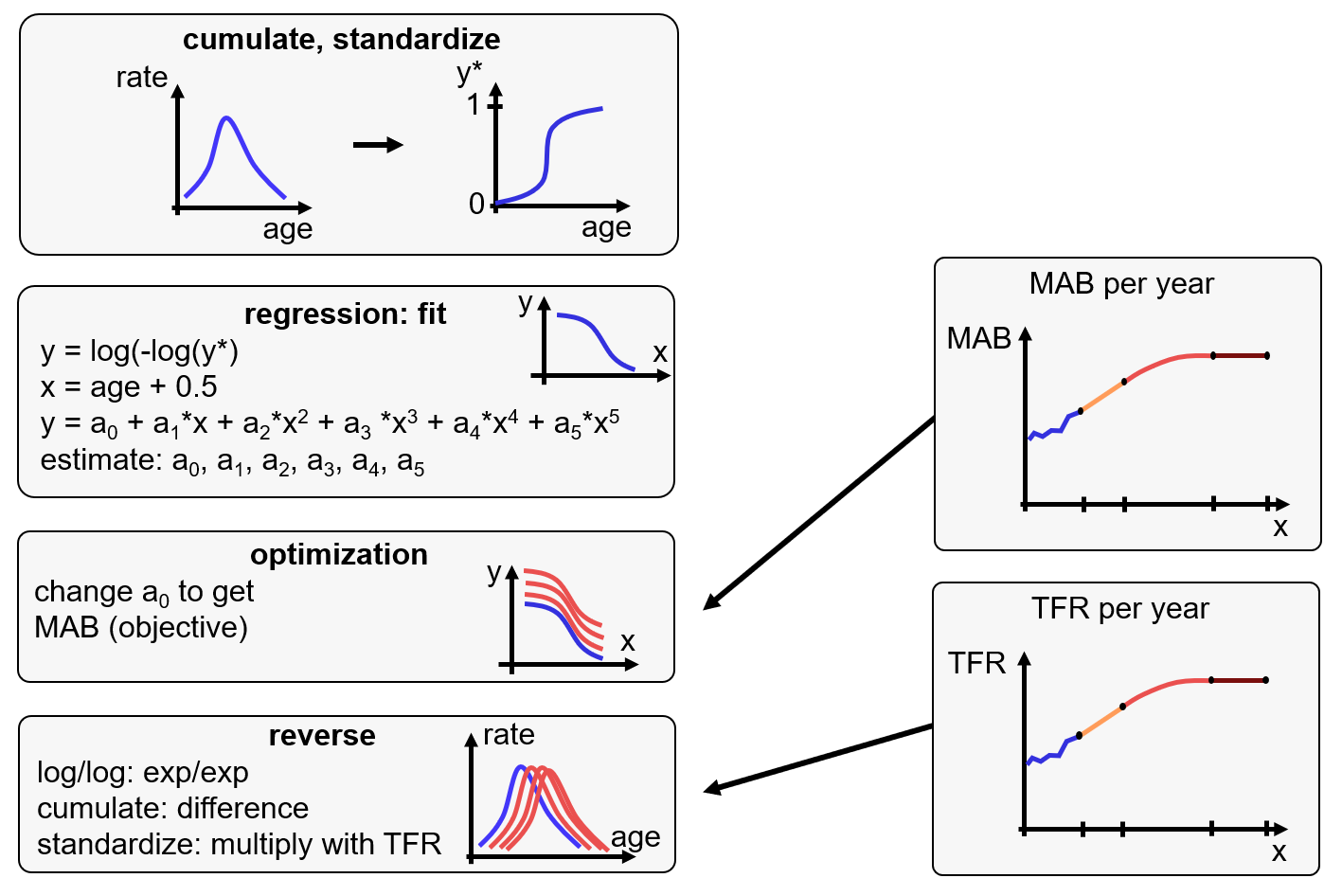 The model structure consists of several procedures: First, the age-specific  fertility rate is cumulated and standardized to values between zero and one.  Second, the cumulated and standardized values are fitted in a regression to  a fifth-degree polynomial of age. Third, the estimated regression coefficients  remain constant, except the intercept; with optimization, the intercept  in changed to achieve the previously calculated future MAB values. Fourth,  the calculations are reversed to get standardized age-specific fertility rates.  Fifth, the standardized values are multiplied by TFR to estimate future  age-specific fertility rates.